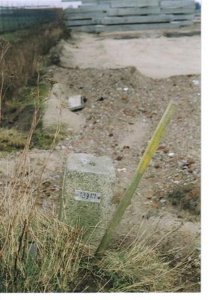 139-III (Small)