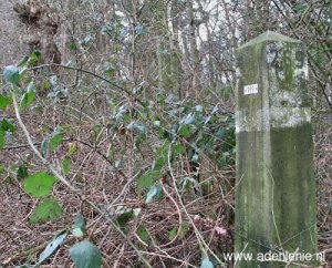 269-d-zijde-op-den-hering-schinveld