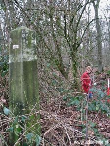269-n-zijde-op-den-hering-schinveld-lenie