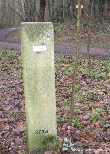 273b-omg-susterseel