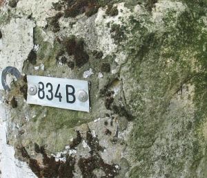 261