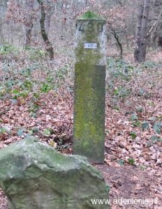 430-brachter-wald-meelderbroek-reuver1