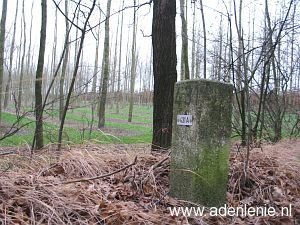 431a-belfeld-meelderbroek-ravensbos1