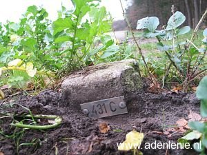 431c-belfeld-meelderbroek-ravensbos1
