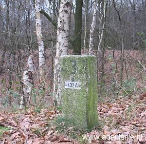 432a-midden-in-bos-bij-meelderbroek1