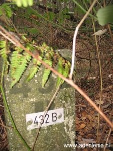 432b-midden-in-bos-bij-meelderbroek1