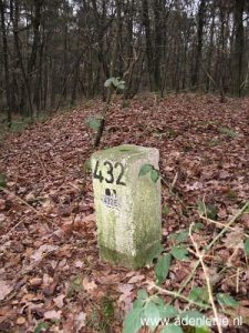 432e-midden-in-bos-bij-meelderbroek1