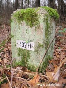 432h-midden-in-bos-bij-meelderbroek