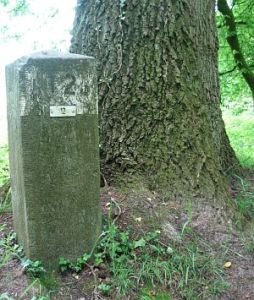 12  dinkelwiesen