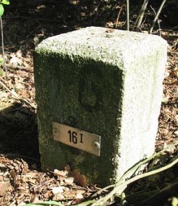 16 I omgeving dinkel ri de poppe