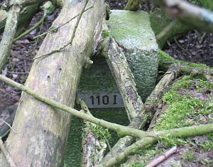 110-i-wellenbeek-wielen