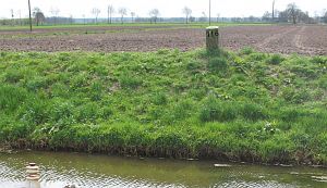 116-radewijker-beek-n-zijde