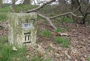 117-ii-scholtmans-eck-en-gem-hardenberg