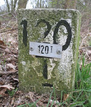 120-i-veldingerveld-gem-gramsbergen