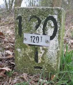 120-i-veldingerveld-gem-gramsbergen