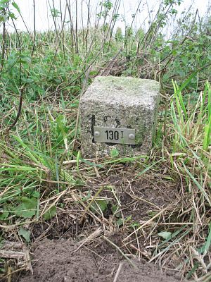 130-i-parralel-woldaweg