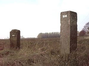 132-2x-fotos-co-bieze