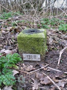 133-ii-wel-gevonden-02-03-2009