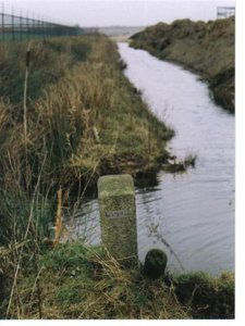 139-II (Small)