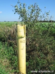 163-v-lindloher-moor