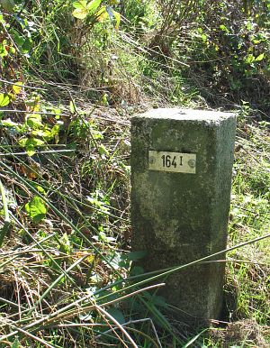 164-i-zwartenbergerveen