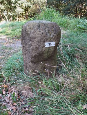 165-emmer-compascuum-lindloher
