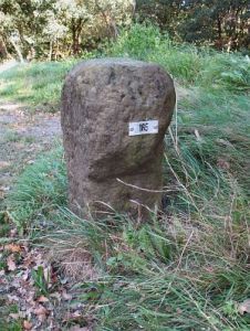 165-emmer-compascuum-lindloher