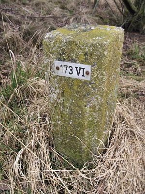 173-vi-zo-sellingen1