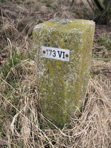 173-vi-zo-sellingen1