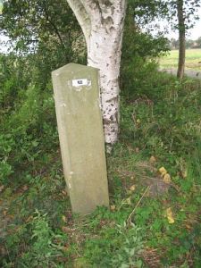 168-rutenbrock2