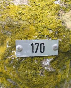170-barenfleer-detail2