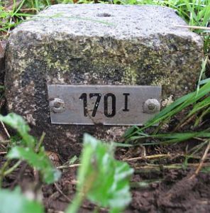 170-i-barenfleer2