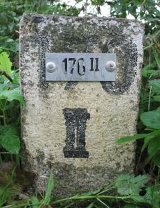 170-ii-barenfleer2