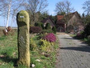 176-echte-hamersteen-hasseberg