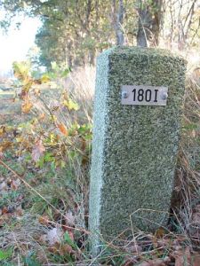 180-i-bourtange-rechtemoor