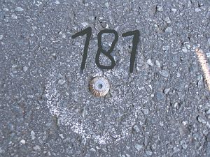 181-grensovergang-bourtange-meetpunt1