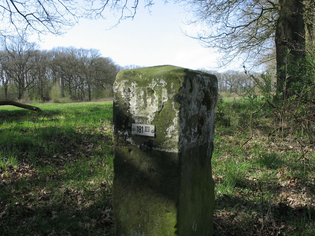 181-iii