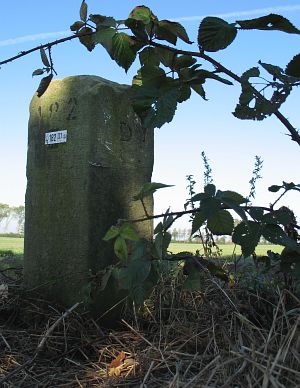 182-iii-rhederveld1