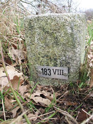 183-viii1