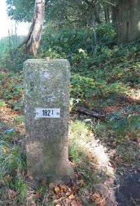 182-i-rhederveld1