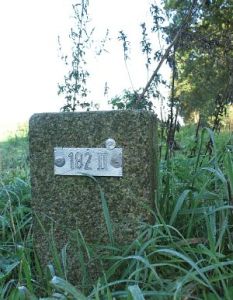 182-ii-rhederveld1