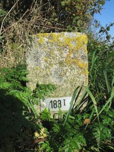 183-i-rhederveld1