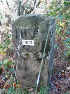 183-vi-rhederveld1