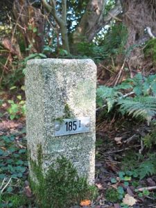 185-i-rhederveld