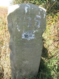185-iii-bellingwolderveen-rhedermoor-2