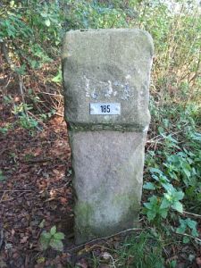 185-rhederveld