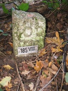 185-viii-bellingwolderveen-rhedermoor