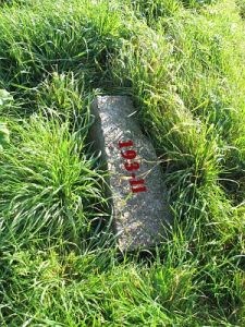193-ii-n-zijde-snelweg-a7-nieuweschans