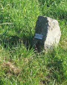 193-iii-d-zijde-snelweg-a7-nieuweschans