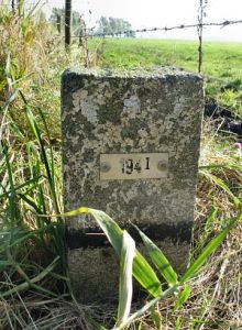194-i-d-zijde-snelweg-a7-nieuweschans